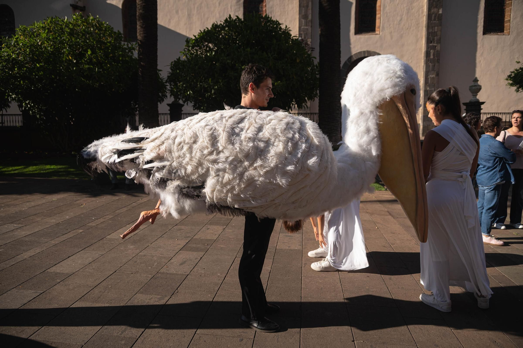 Desfile ‘Diablos y Tarasca’, en La Laguna