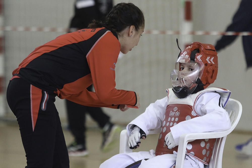 IV Open de Ibiza de taekwondo