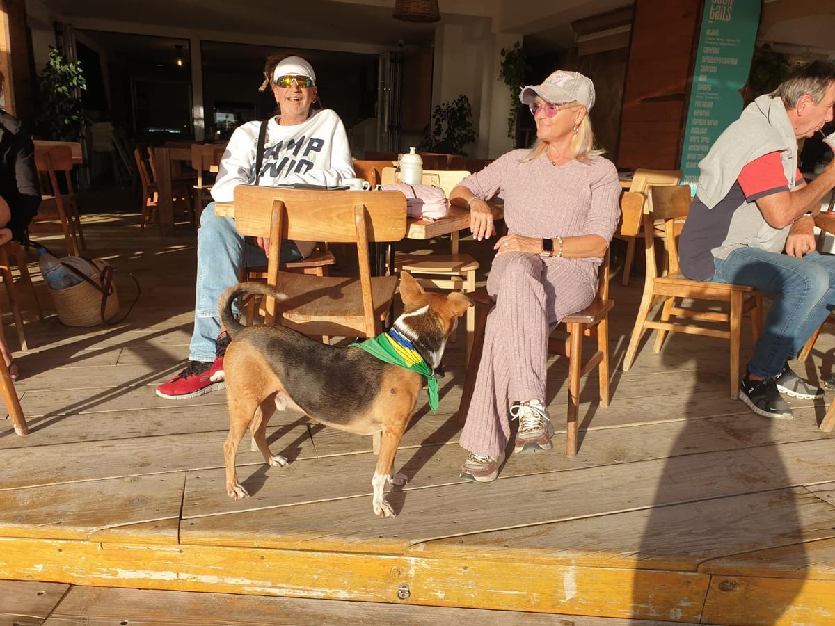 Richtig rund ging es 2025 für Kathrin Mermi-Schmelz und Thommy Schmelz.