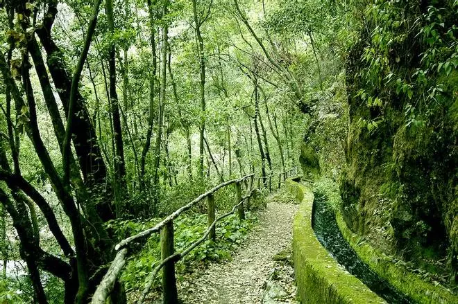 Los escenarios de la serie The Witcher en La Palma