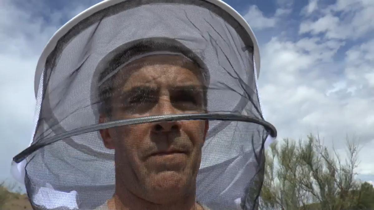 Alonso Caparrós como apicultor
