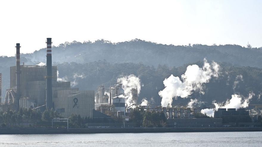 El Supremo respalda a Ence al desestimar los recursos contra su continuidad en Lourizán