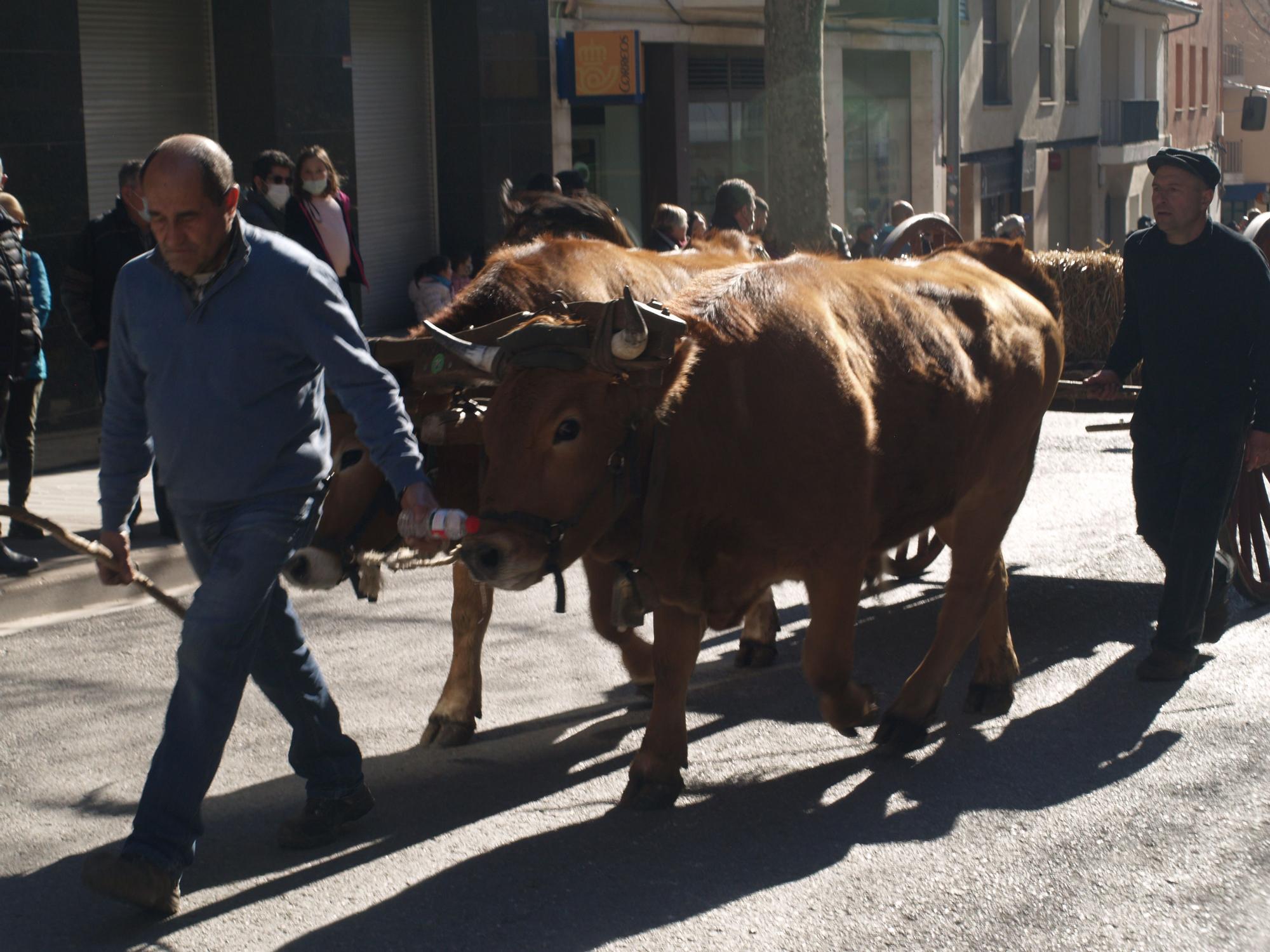 Festa dels Tres Tombs a Moià