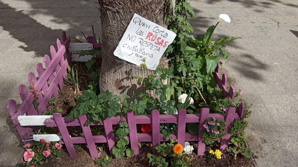 Uno de los alcorques recuperados en las calles de Barcelona