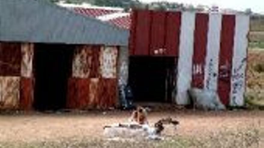 Un hangar en desuso y sin agua sirve de refugio a 30 rumanos