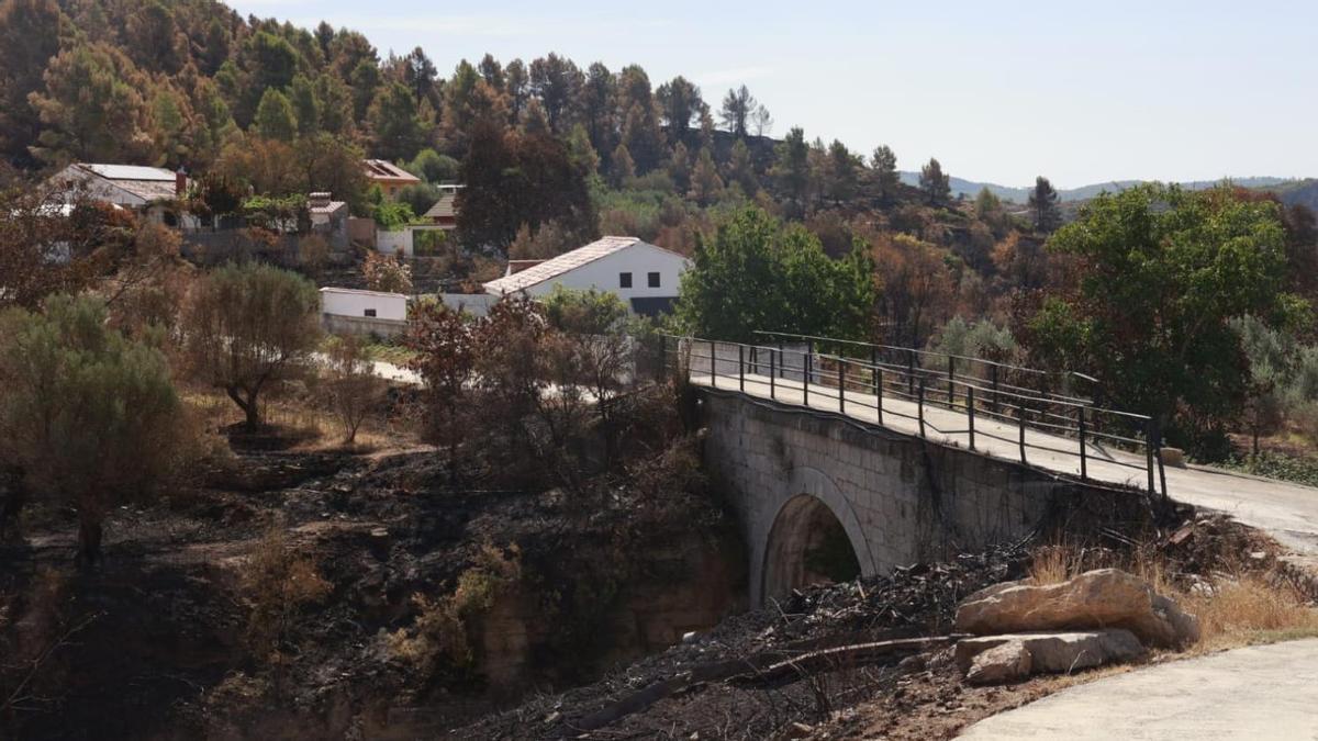 Las consecuencias del incendio de Bejís en Teresa, donde el fuego quedó a escasos metros de un grupo de viviendas.