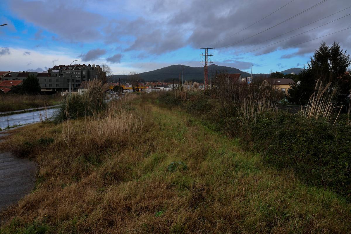Terrenos que estaban destinados a un polígono industrial que no serán utilizados y están cubiertos de maleza.
