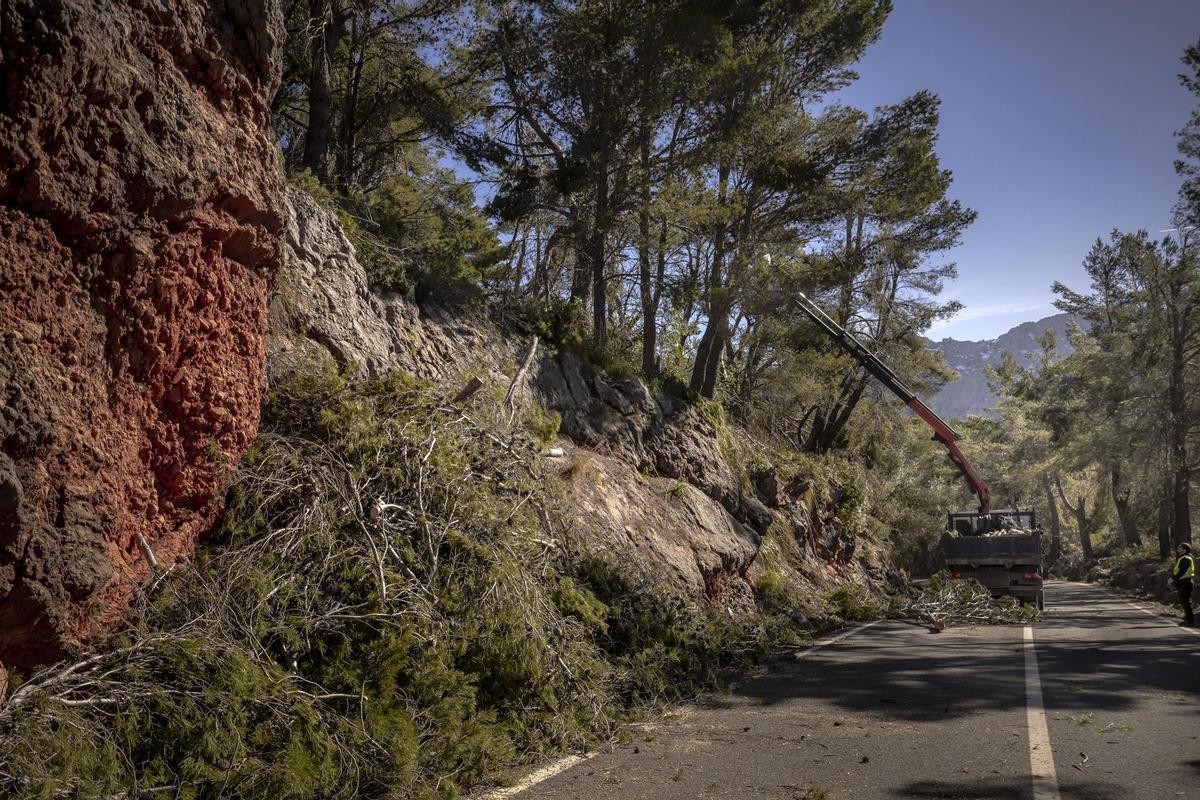 La conselleria de Medio Ambiente destina 540.000 euros a las primeras tareas de emergencia para recuperar las masas forestales