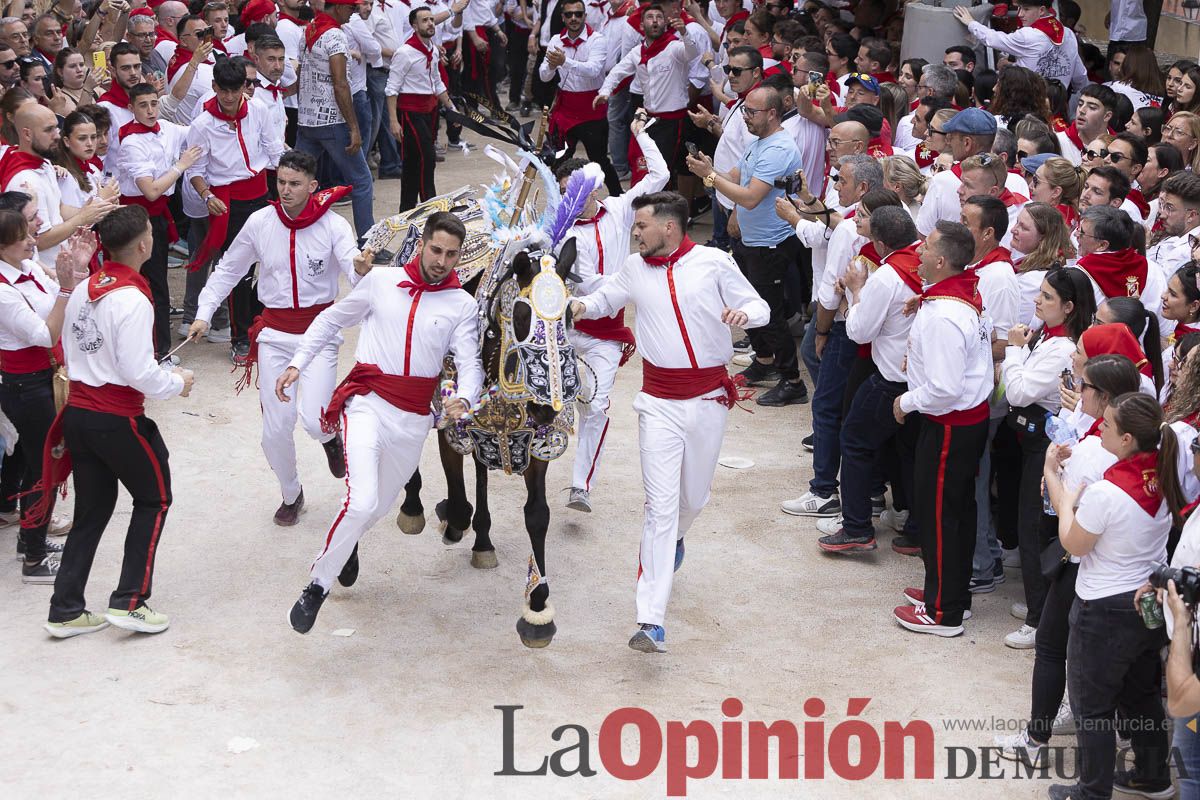 Así se ha vivido la carrera de Los Caballos del Vino en Caravaca