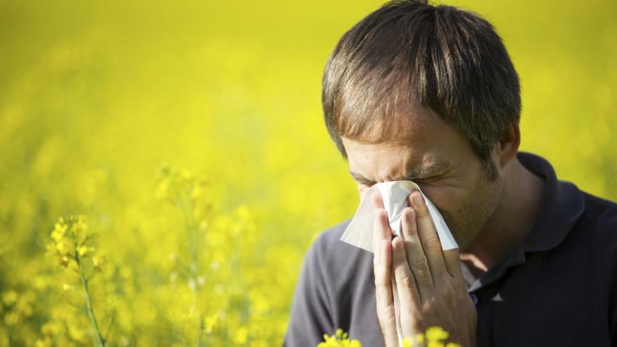 Unos 6 millones de españoles son alérgicos al polen