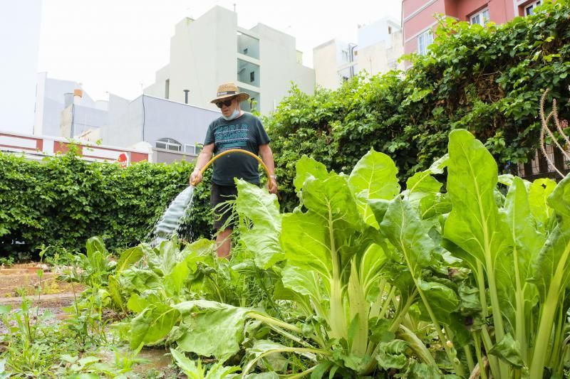 Reabren los huertos urbanos de la ciudad