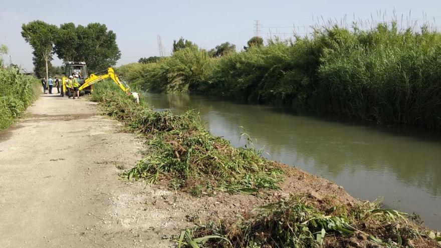 Trabajos en el río Túria, en el término de Manises.