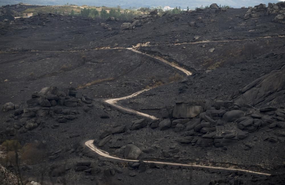 Entrimo, el incendio más voraz del año en Galicia