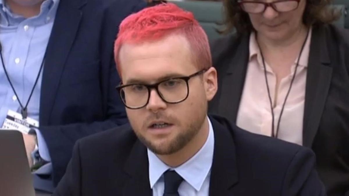 Christopher Wylie, durante su declaración.