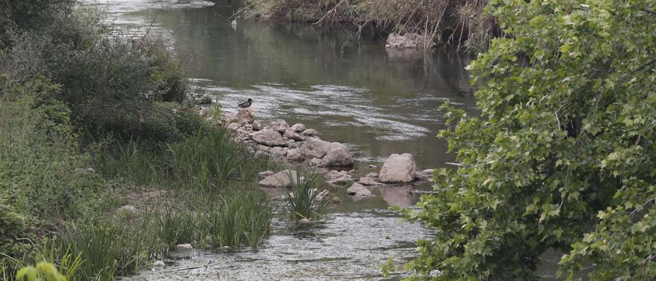 La CHJ recurre al agua de Alarcón por el bajo nivel del embalse de Tous