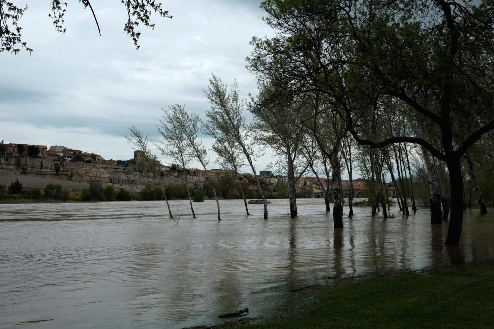 Crecida del río Duero