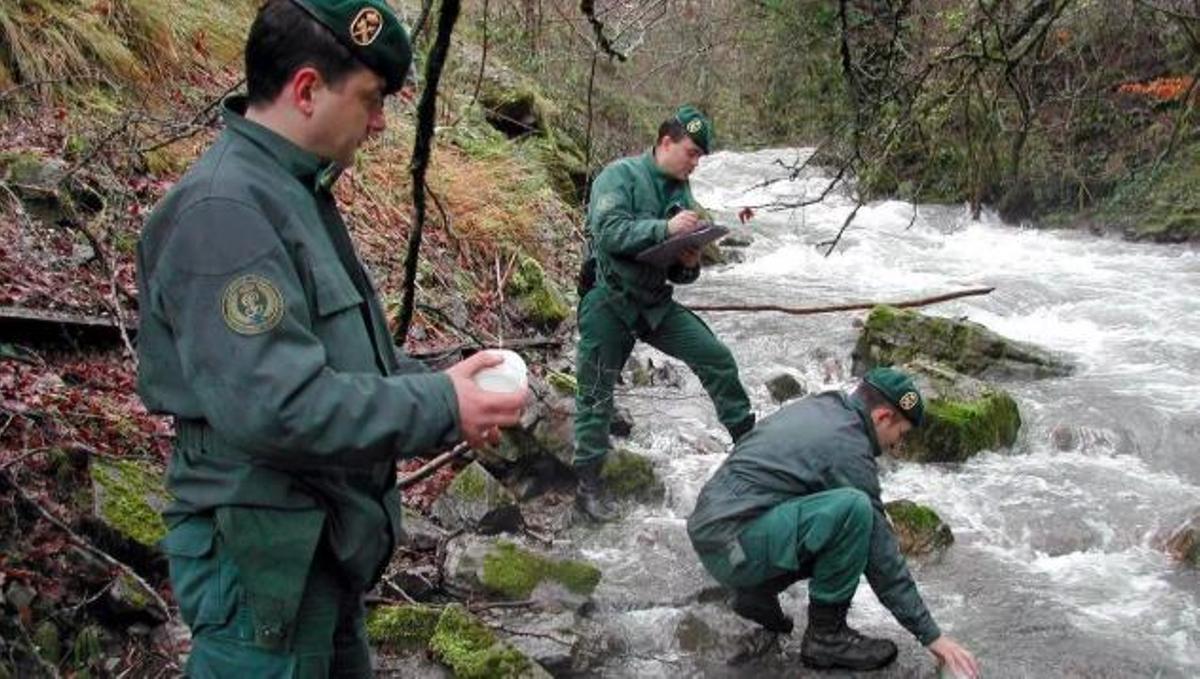 Agents del Seprona prenent mostres d'aigua en un riu