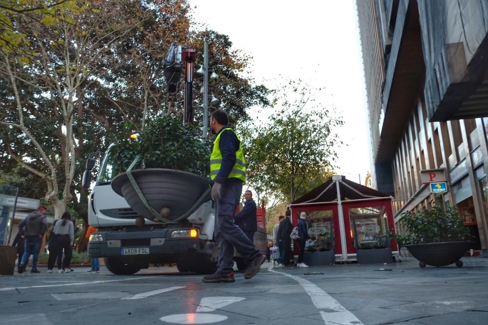 Colocan barreras para impedir el tráfico en Plaza de España y es Born