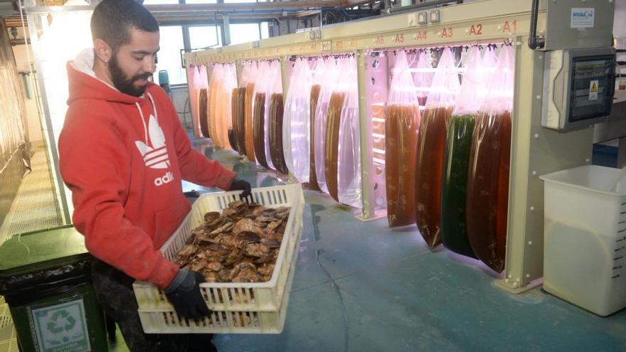 Un alumnno en las instalaciones del Igafa, el curso pasado.