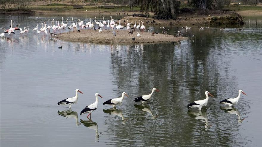 El Guadalquivir medio tiene 222 humedales estacionales y 107 salinas