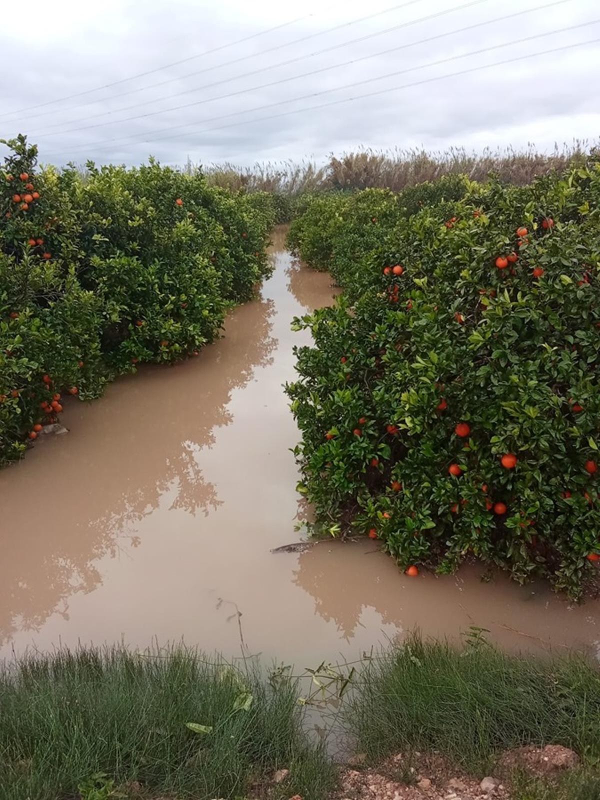 Parcela agrícola inundada por las fuertes lluvias.