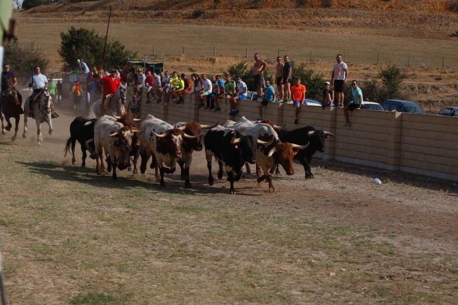 Espantes en Fuentelapeña