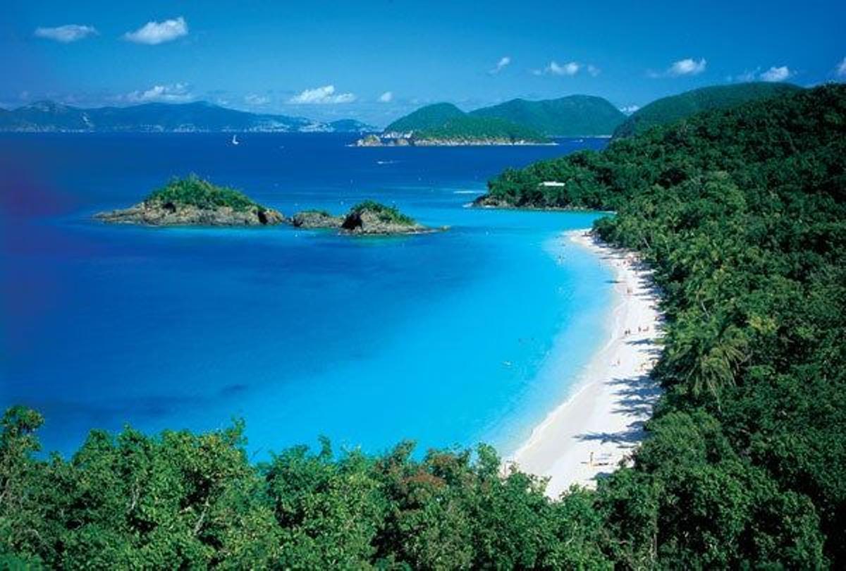 Trunk Bay (ST. John)