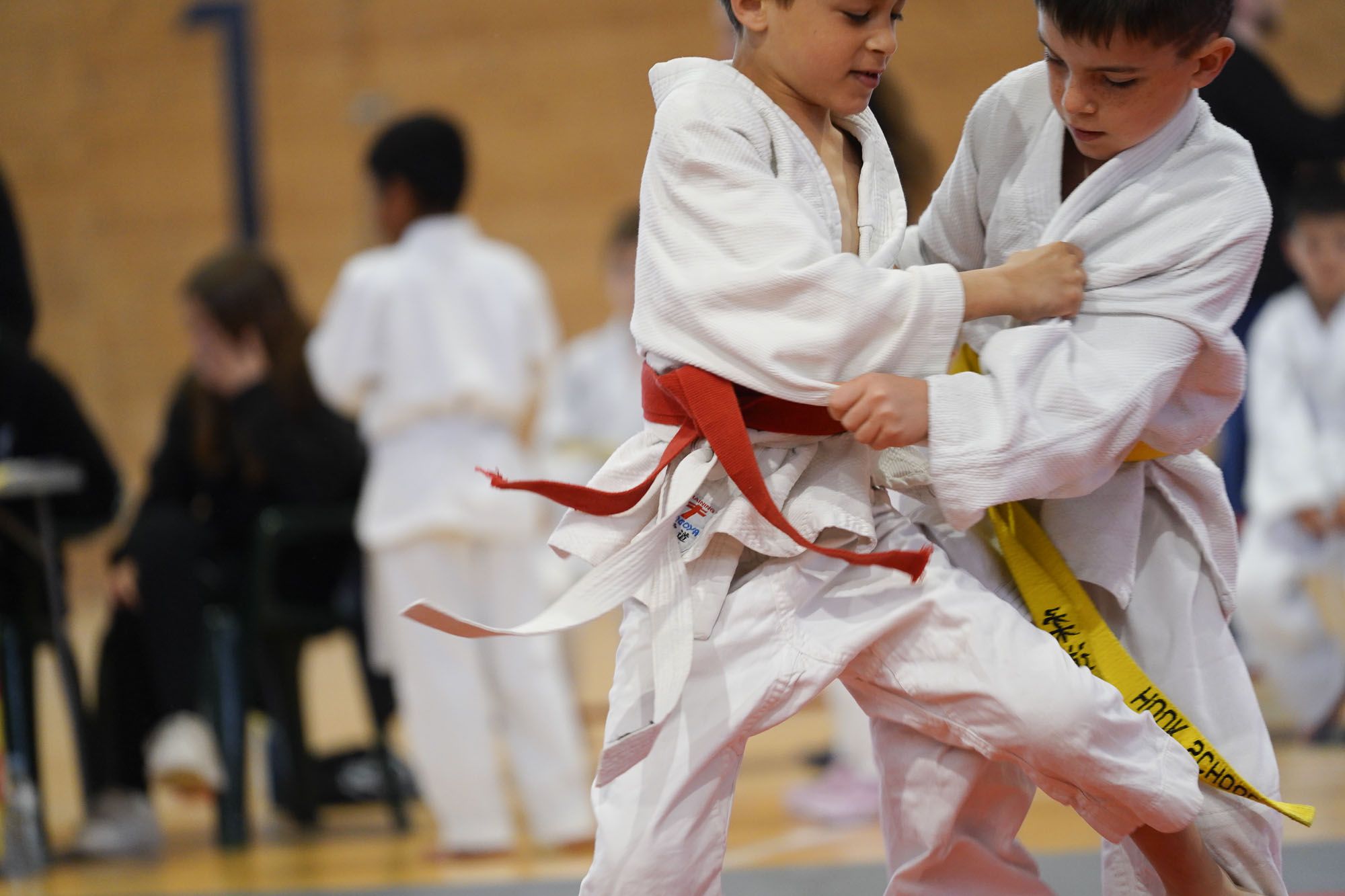 Les imatges del torneig infantil de judo de l'Escola 7