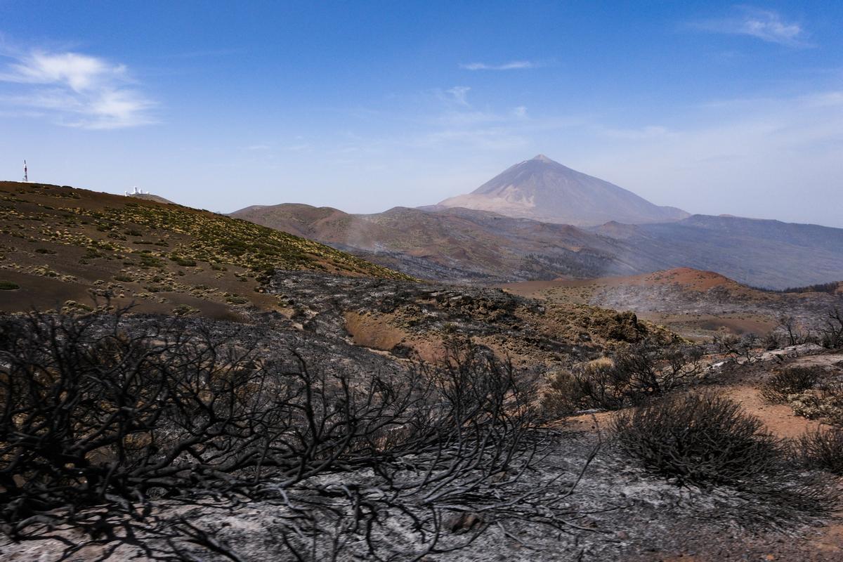 Estabilizado el incendio de Tenerife