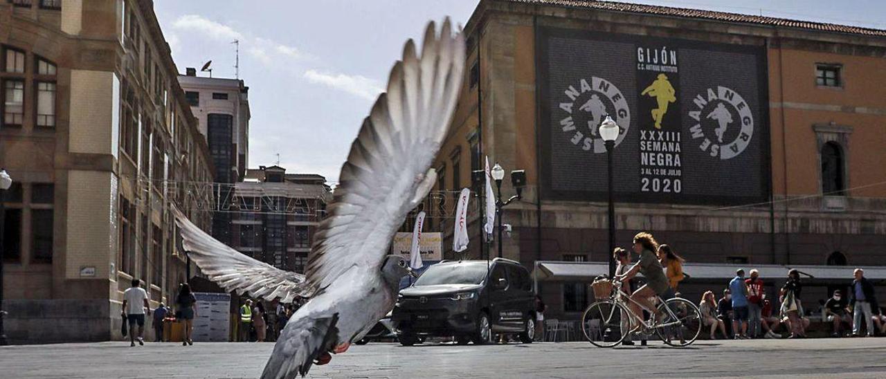 Una paloma inicia el vuelo en la plaza del Instituto.