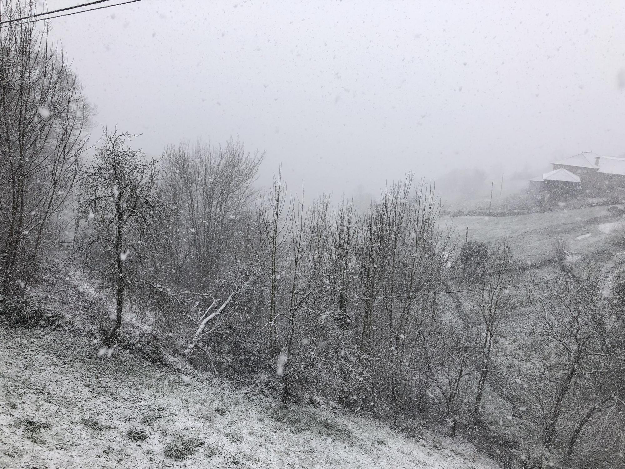 EN IMÁGENES: La borrasca Juliette lleva la nieve casi hasta la costa en Asturias