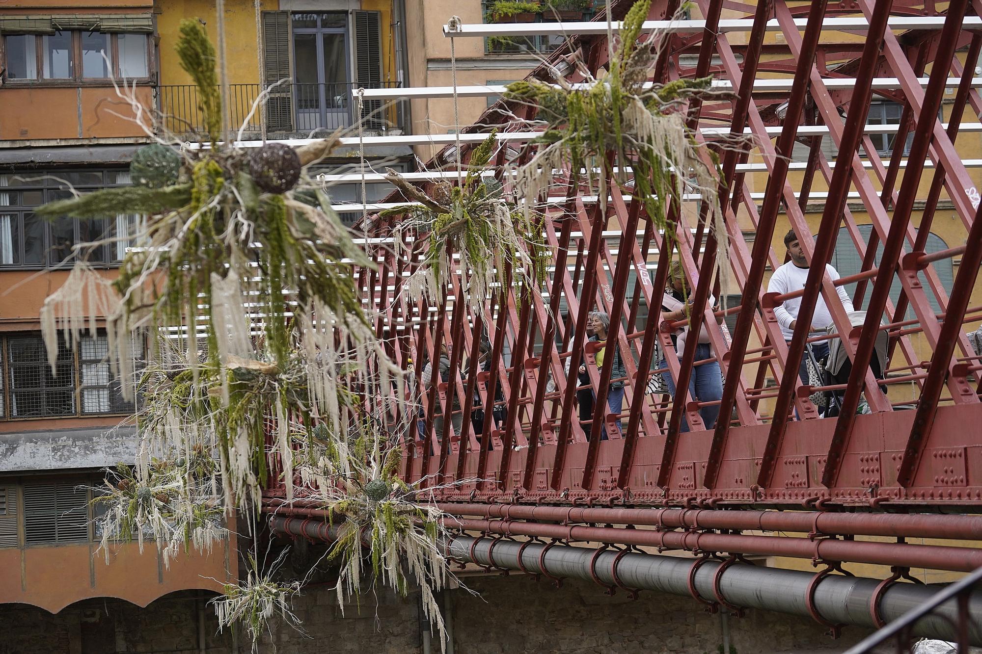 L'últim dia de Temps de Flors en imatges