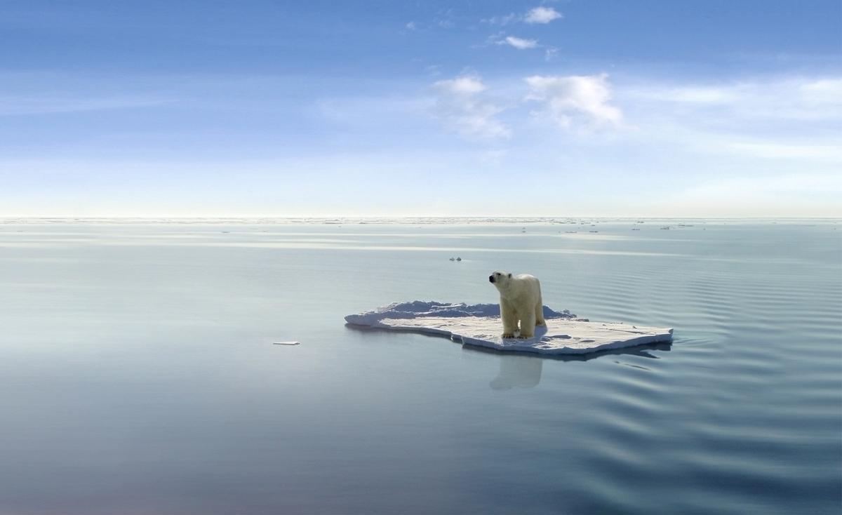 Un oso polar sobre un témpano aislado en el Ártico