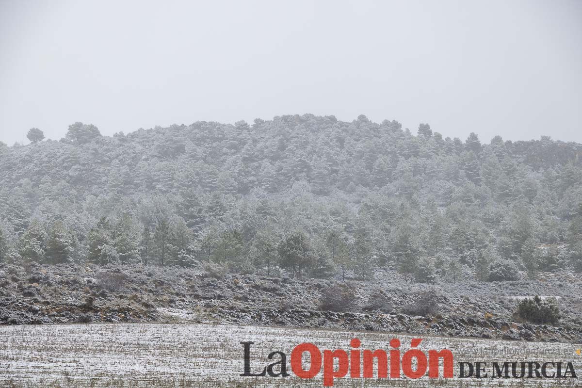 Nieve en el Noroeste