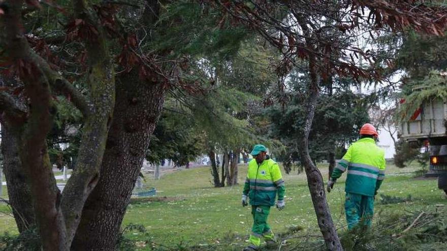 Operarios municipales retiran ramas caídas por el peso de la nieve durante la semana pasada.