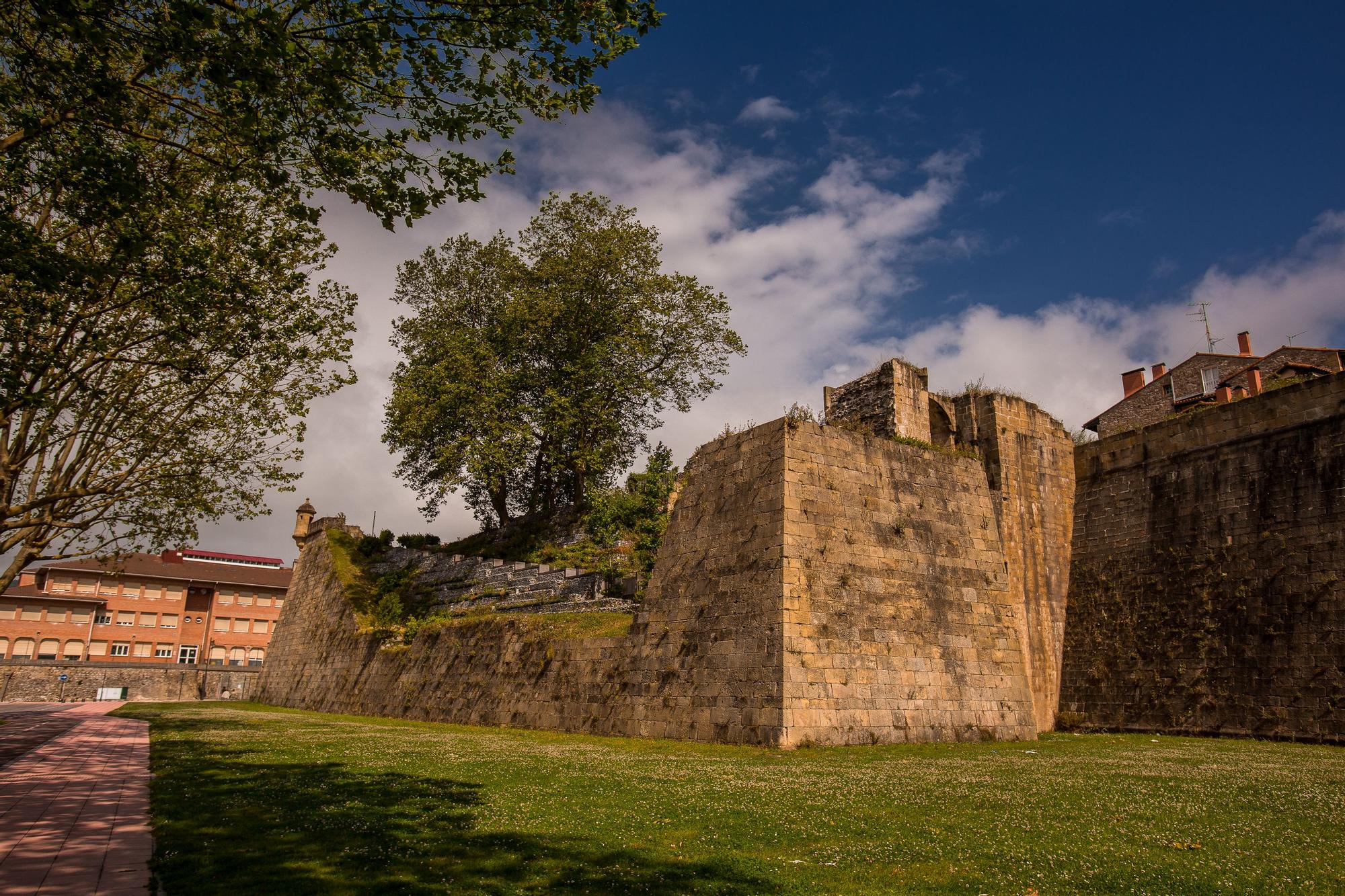 Hondarribia-Foto Asociacion-Hosteleria-Hondarria-www-mandragora-pro (6).jpg