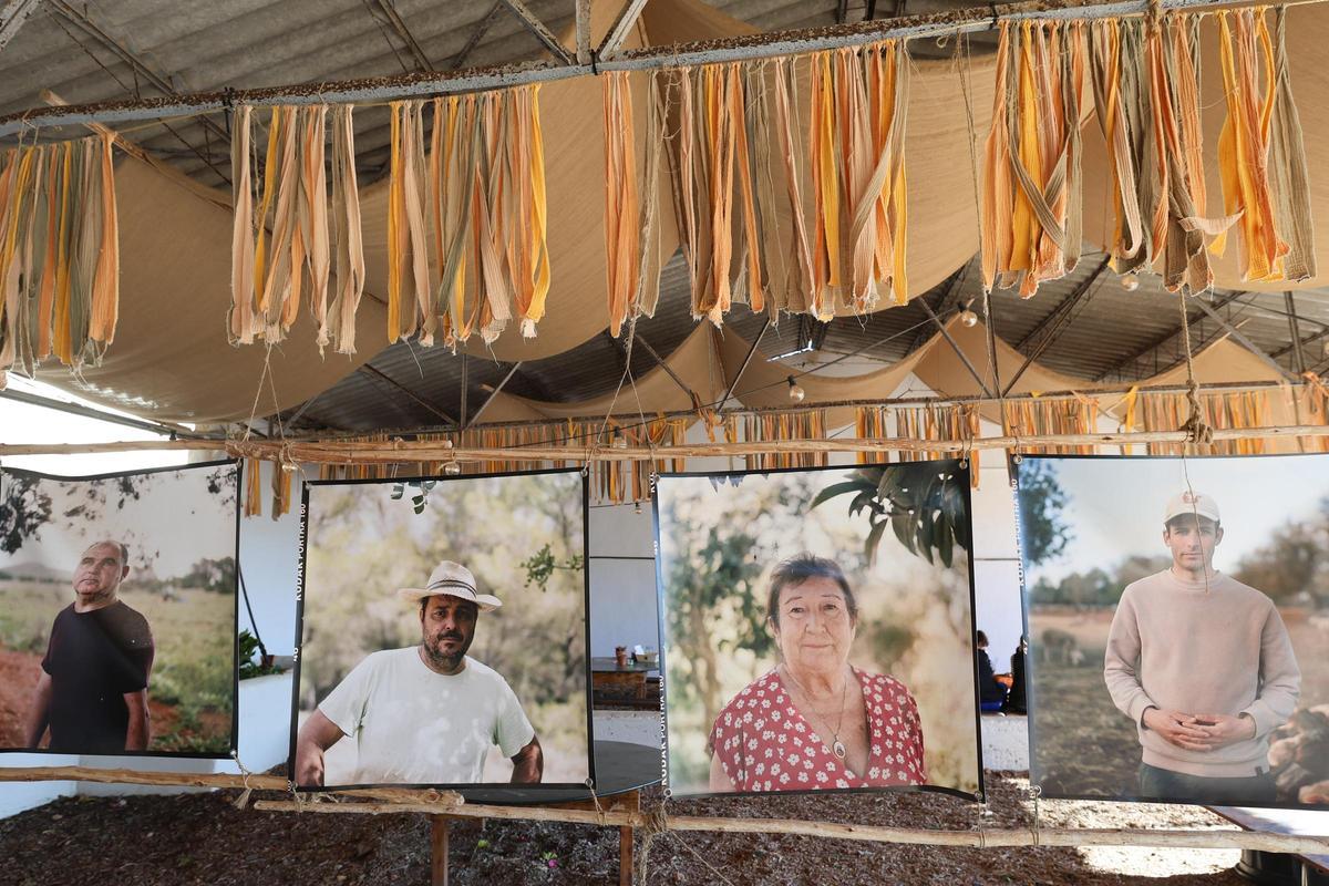 Las imágenes de 'Sábados en Juntos Farm', en Santa Gertrudis Las imágenes de 'Sábados en Juntos Farm', en Santa Gertrudis