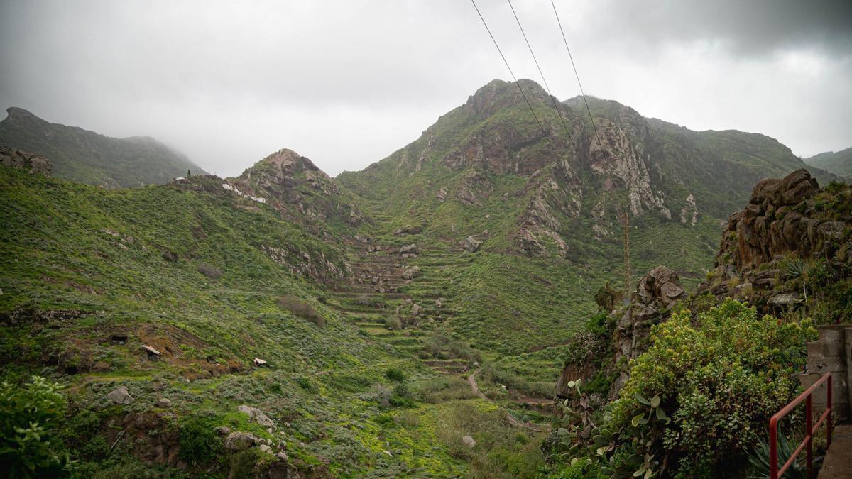 Tenerife vaciada: Afur