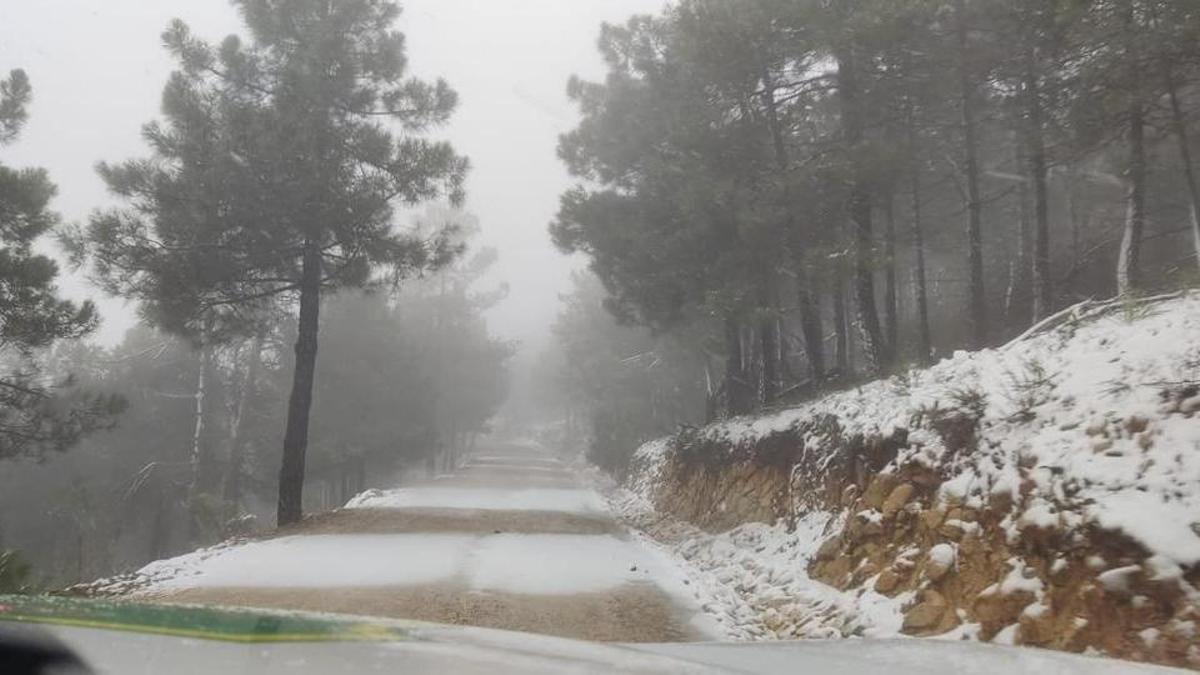 Así ha dejado la nieve los caminos de Sierra Espuña.