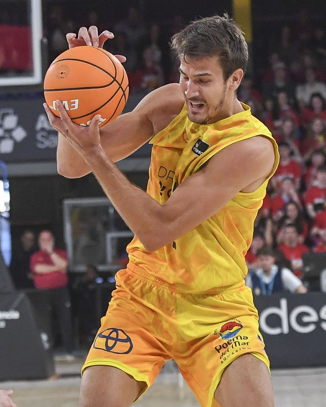 Baloncesto: Barça - Dreamland Gran Canaria