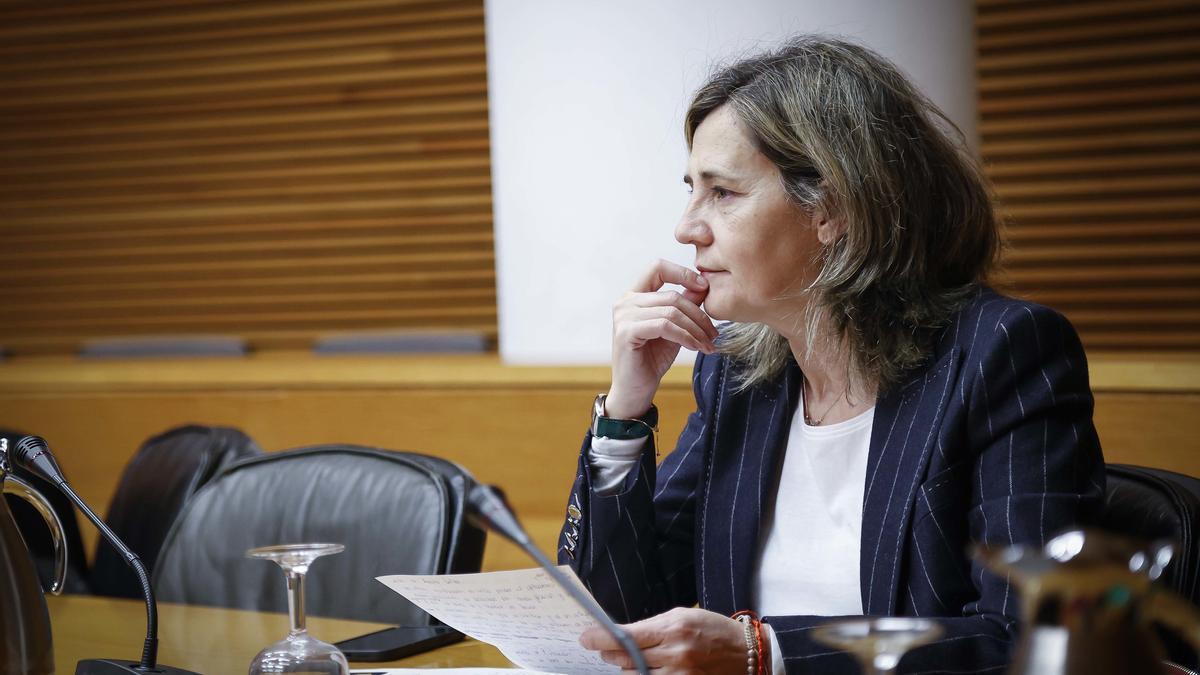 Elena Bastidas, diputada del grupo PP en las Cortes
