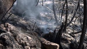Un incendio en Ponteceso obliga a desalojar Corme Aldea, en Galicia, sin que puedan actuar medios aéreos por el viento
