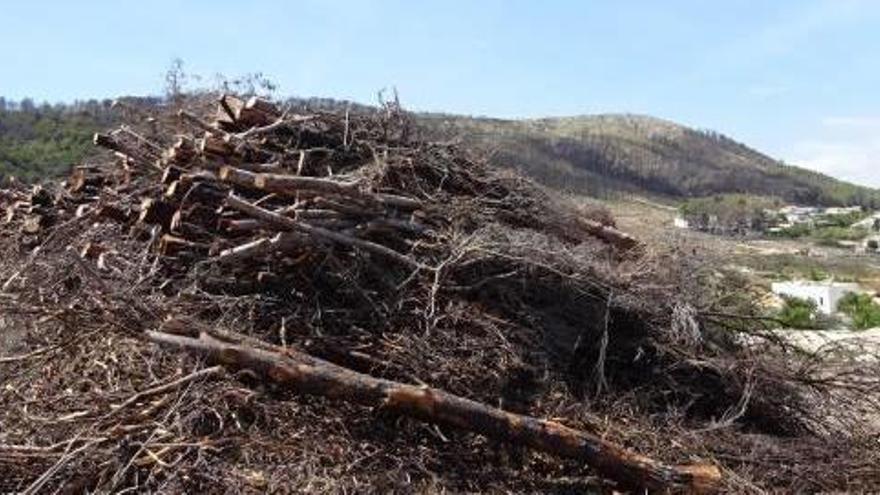 Una pila de árboles quemados amontonados en la urbanización Valsol de Xàbia