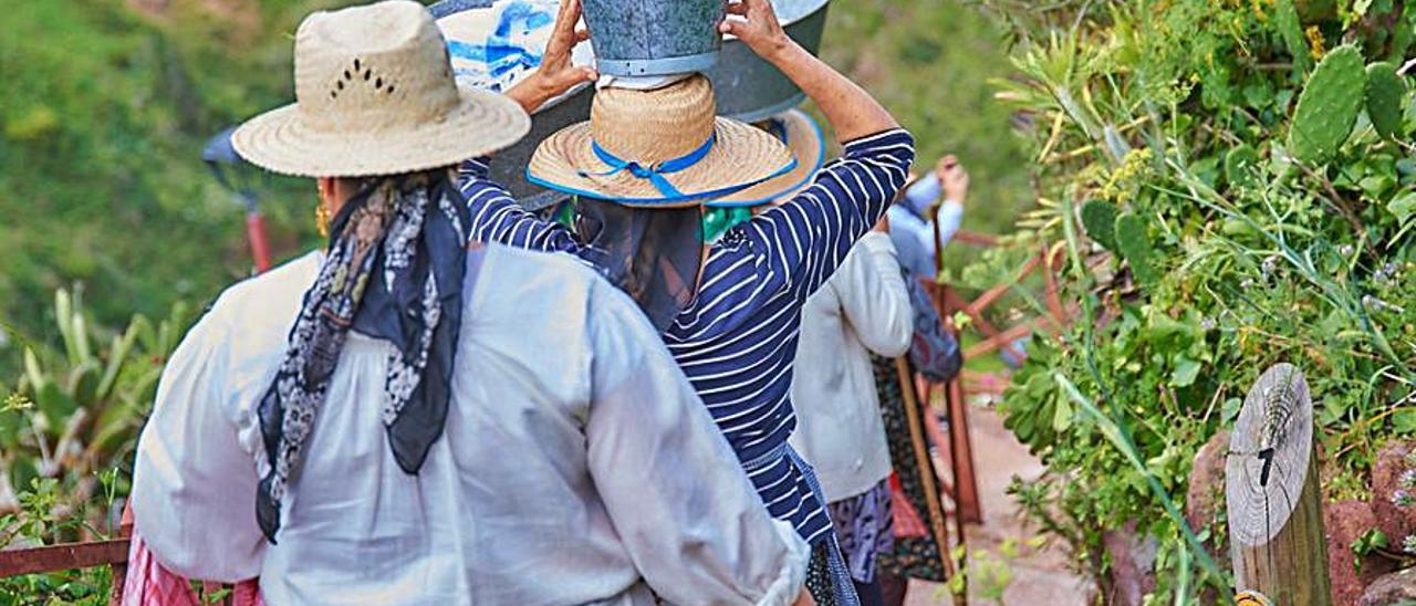 Mujeres del ámbito rural en la Isla de Tenerife.