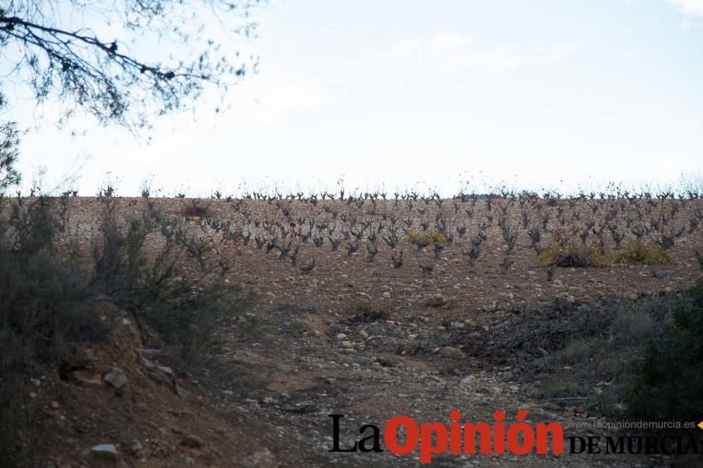 Peregrinar a Caravaca Jubilar. Vía del Noroeste