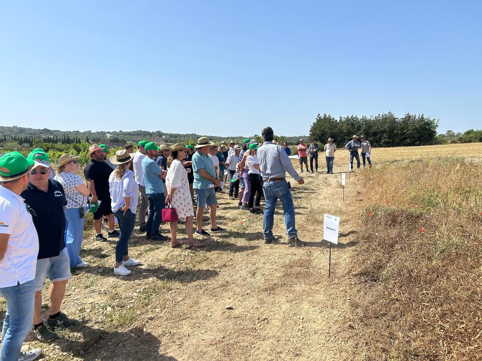 Agricultura | La jornada en el campo experimental de cereales en Maria de la Salut, en imágenes