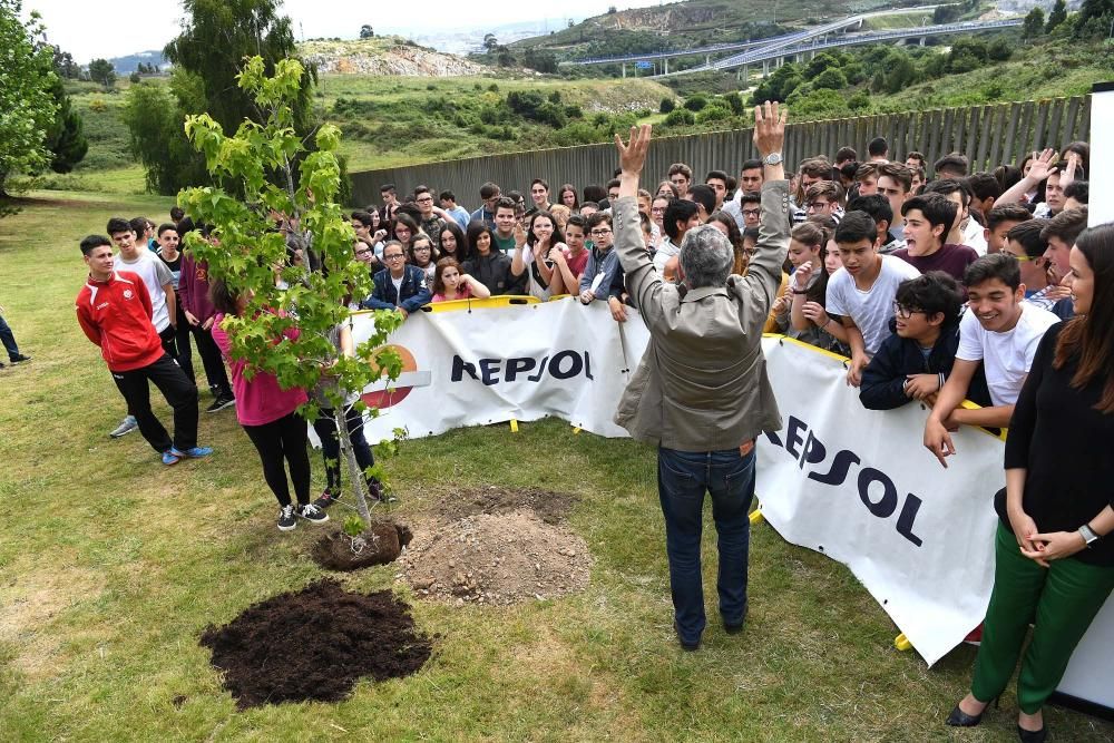 La refinería de A Coruña entrega los premios del concurso de limpieza y reciclaje en las aulas, en el que han participado 316 alumnos del centro arteixán. También plantaron un liquidámbar americano.