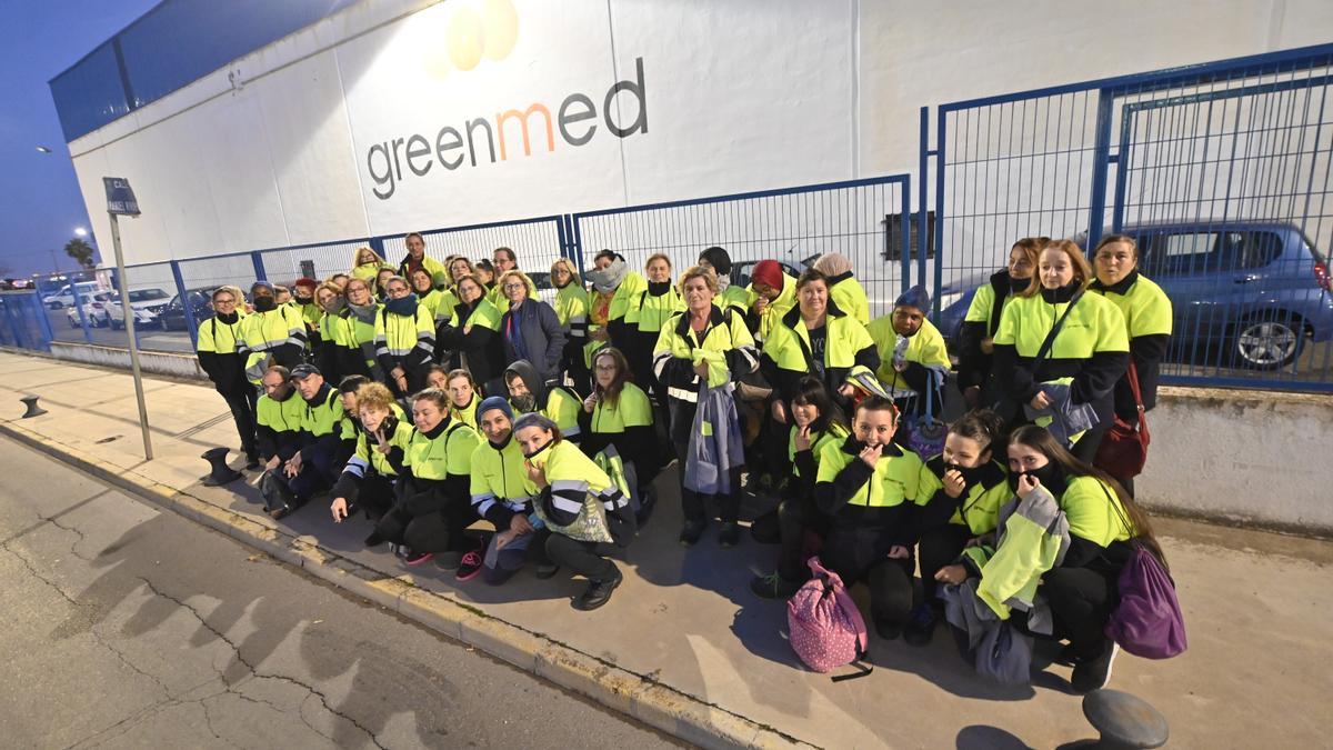 La citrícola Greenmed da por acabada la campaña en Almassora.