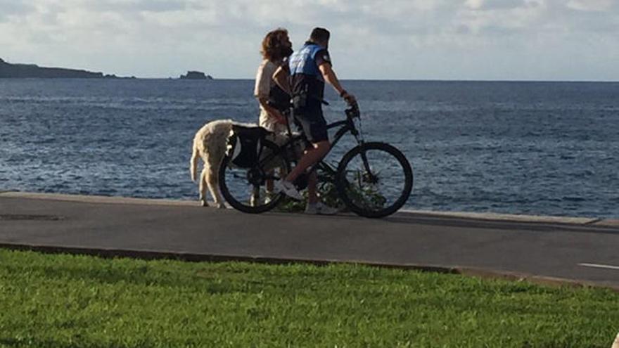 Saca a pasear a su carnero por Las Canteras