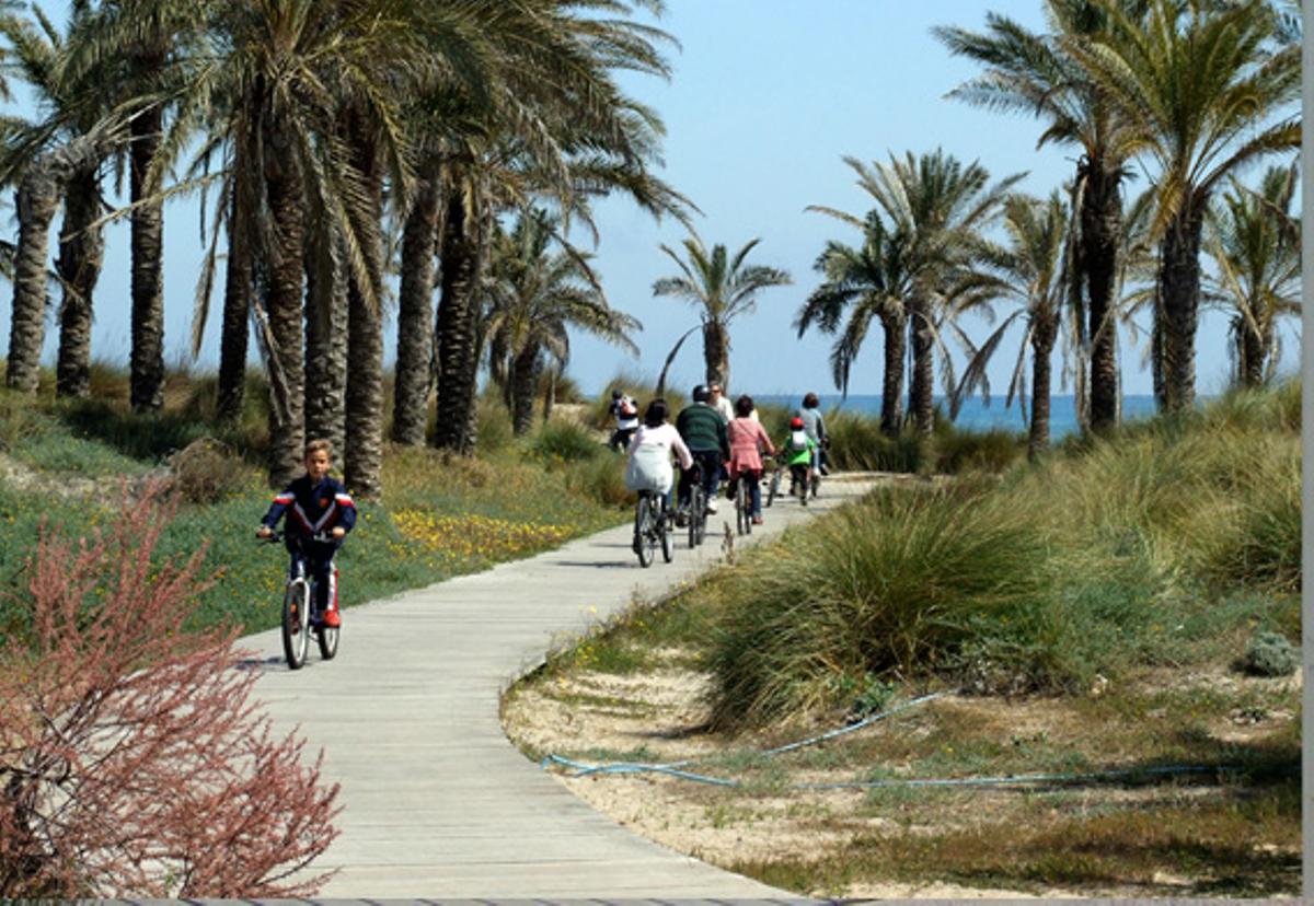 Merenderos junto a la playa del Pinar, un lugar calmado para pasear.